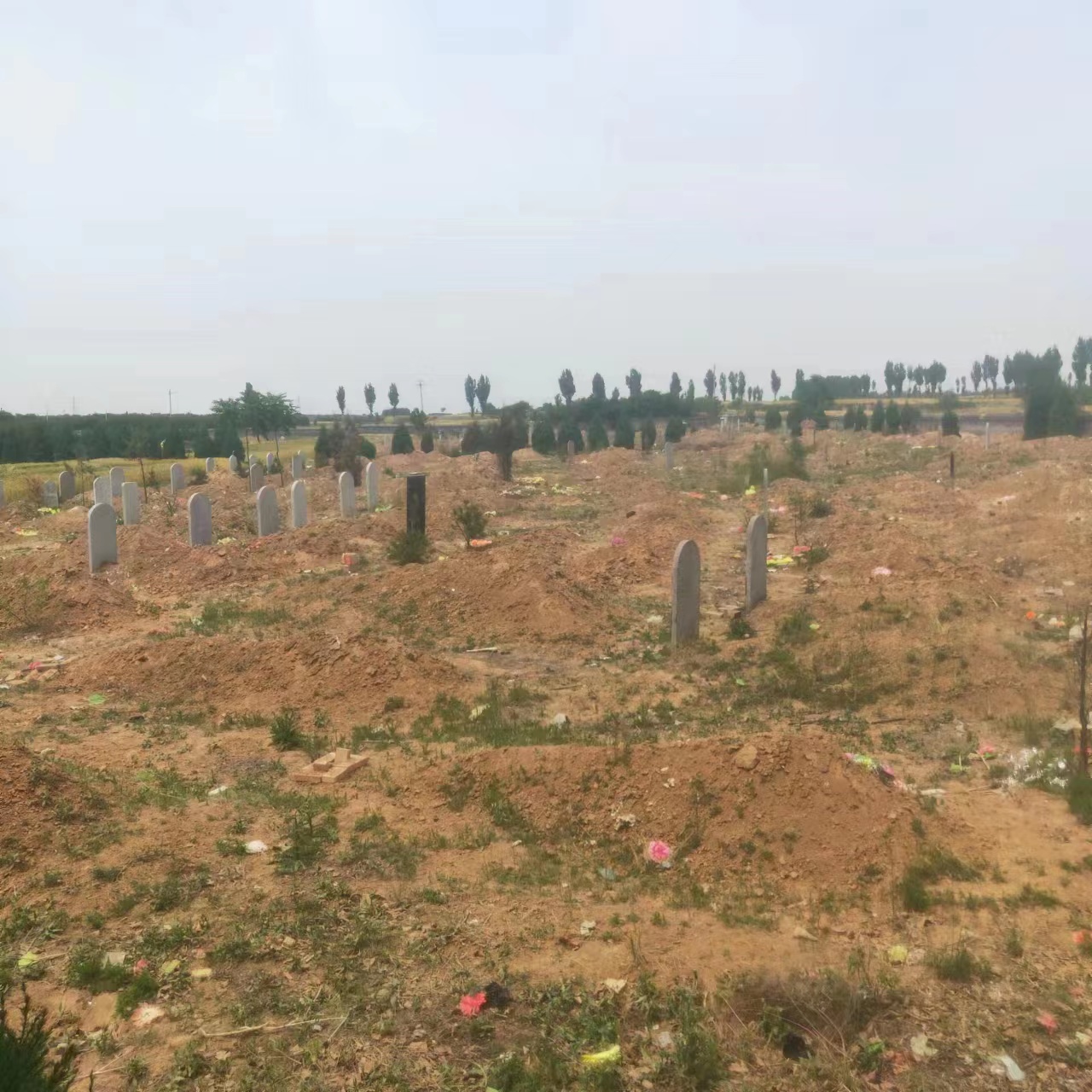 3016d227703aeba0c6f71eb648a3706.jpg 3016d227703aeba0c6f71eb648a3706.jpg