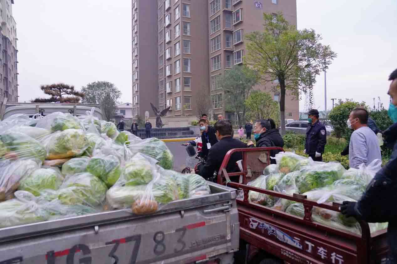 图片2.jpg 图片2.jpg