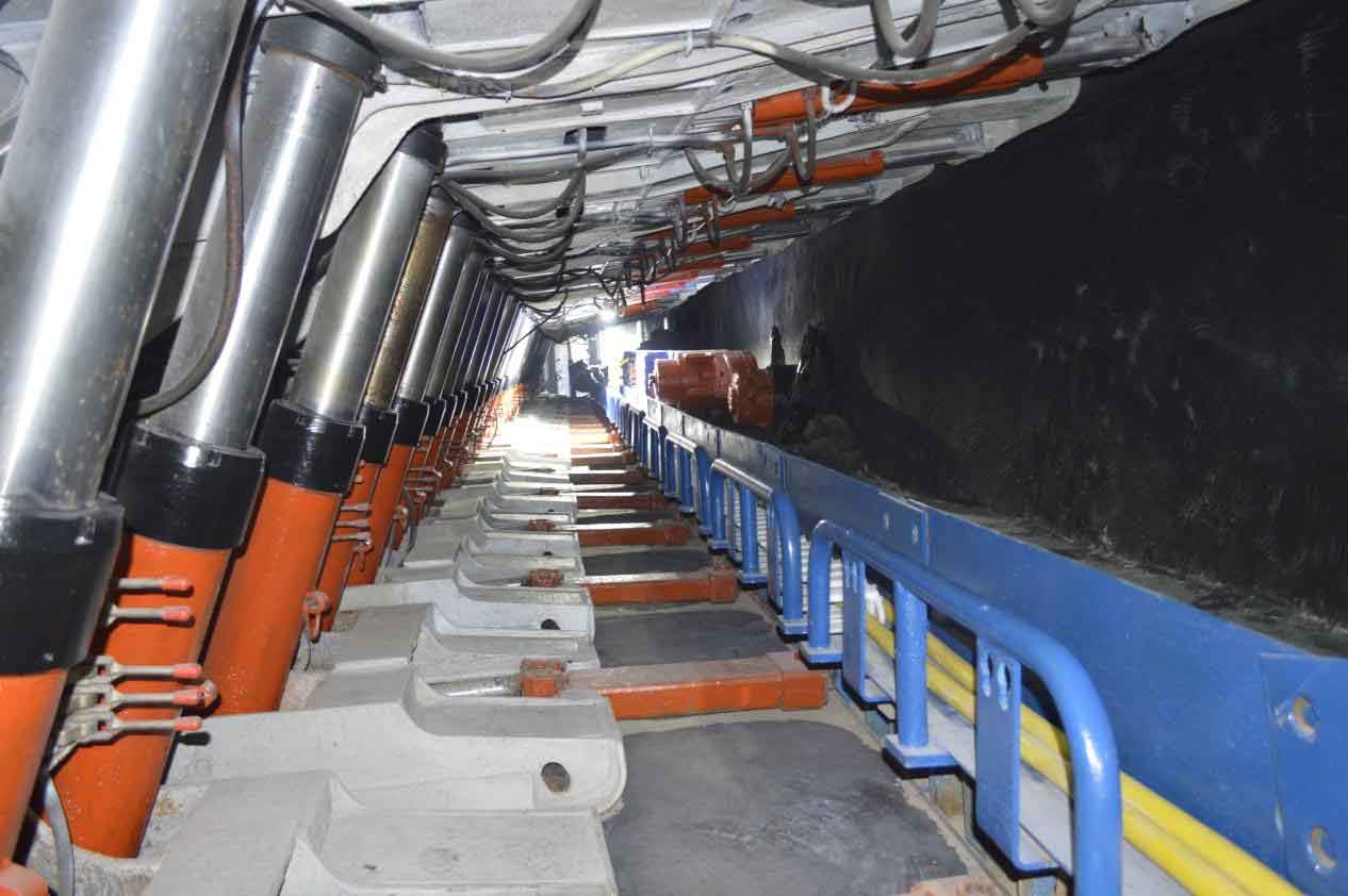 图片4.jpg 图片4.jpg