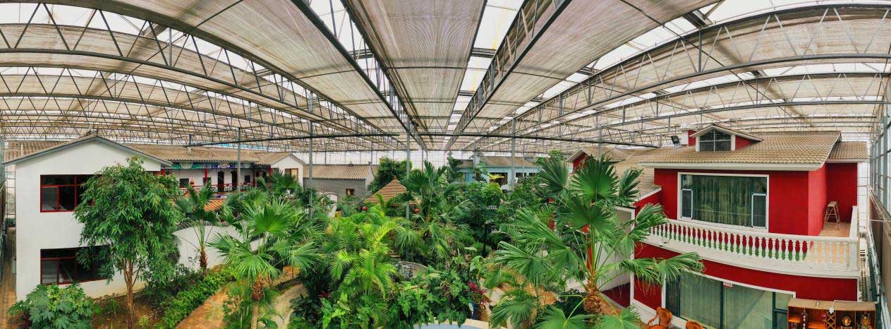 图片61.jpg 图片61.jpg