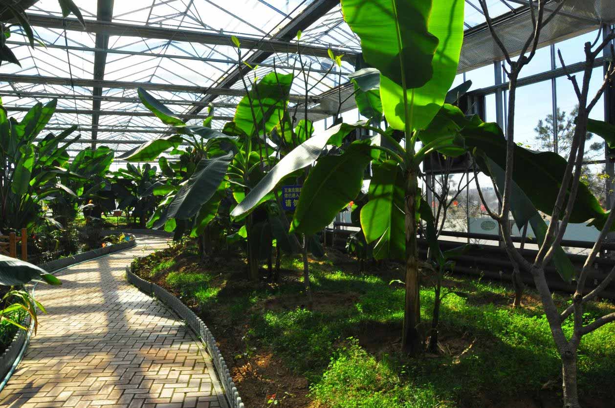 图片81.jpg 图片81.jpg