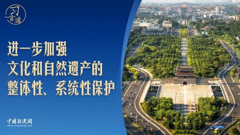 t11508c75c8b8068b26f8d968b2.webp_副本.png t11508c75c8b8068b26f8d968b2.webp_副本.png