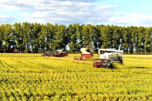 ScreenShot_2026-01-20_103506_838.jpg ScreenShot_2026-01-20_103506_838.jpg