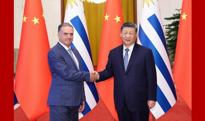 MAIN17700976468064ZGIC8WD1I.jpeg MAIN17700976468064ZGIC8WD1I.jpeg